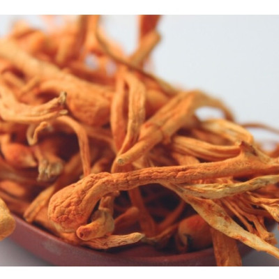 HỘP QUÀ QUẢ THỂ KHÔ ĐÔNG TRÙNG HẠ THẢO VINACORDY