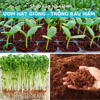 Viên Nén Xơ Dừa Trồng Cây, Đất Sạch Hữu Cơ Chuyên Rau Sạch, Ươm Hạt Giống, Cây Kiểng (1 Viên)