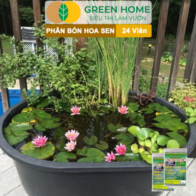 Phân Bón Hoa Sen Greenhome, Vỉ 24 Viên, Cây Thuỷ Sinh, Ngập Nước, Cho Hoa To, Hoa Đậm Màu, Lâu Tàn, Tốt Lá