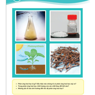 Sách - Củng Cố và Ôn Luyện Khoa Học Tự Nhiên Lớp 8 - Dùng chung cho các bộ SGK hiện hành