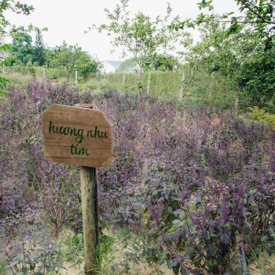 COMBO DẦU GỘI VÀ TINH BƯỞI MẸ KEN