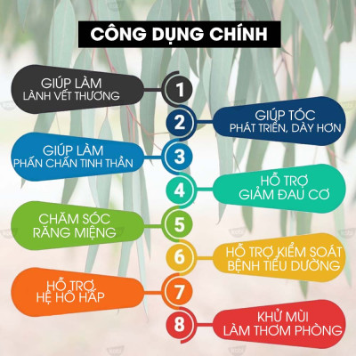 Tinh Dầu Khuynh Diệp Kobi - Tinh Dầu Thiên Nhiên Nguyên Chất, Tinh Dầu Xông Phòng, Giúp Giảm Stress, Xua Đuổi Côn Trùng Và Khử Mùi Hiệu Quả, Thích Hợp Dùng Với Đèn Xông Và Máy Khuếch Tán Tinh Dầu (5ml)