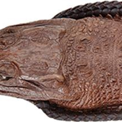 Thắt lưng nam da cá sấu Huy Hoàng nguyên con lớn đầu cá sấu màu nâu đất HT4255