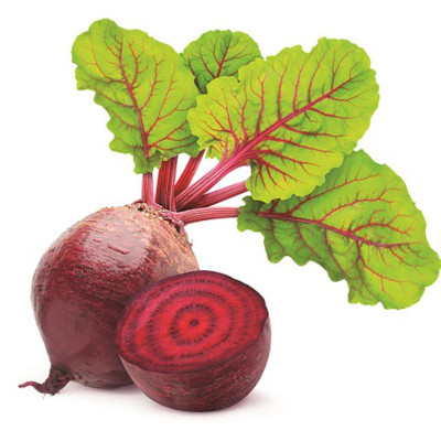 Hạt giống củ dền đỏ giống khỏe nảy mầm tốt VTS139