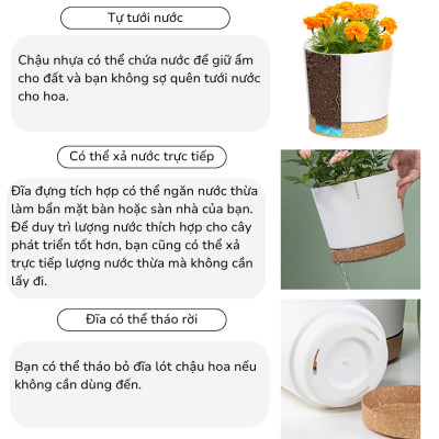 Chậu tự tưới thông minh Monrovia cho hoa, cây cảnh trong nhà và ngoài trời hình trụ tròn
