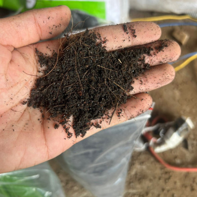 Đất hữu cơ Vì Nông hoa mai và cây kiểng, bổ sung đạm cá, đất sạch trồng cây, đất trồng cây