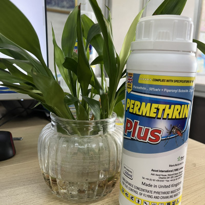Thuốc diệt muỗi nhập khẩu nguyên chai Anh Quốc Permethrin Plus 50EC chai 500 ml
