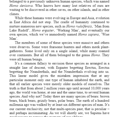 Sapiens : A Brief History of Humankind (Paperback)