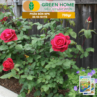 Phân Bón NPK 30-10-10+TE, Greenhome, Gói 700Gr, Giúp Cây Đẻ Nhánh, Bung Chồi, Nhú Đọt, Tốt Rễ