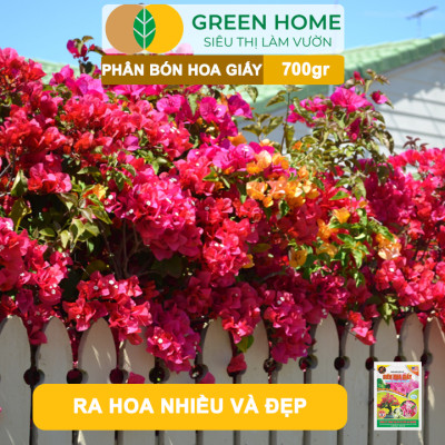 Phân Bón Hoa Giấy Greenhome, Bao 700gr, Hữu Cơ, Giúp Thân Cứng Cáp, Tạo Tán, Ra Bông Nhiều, Lâu Tàn