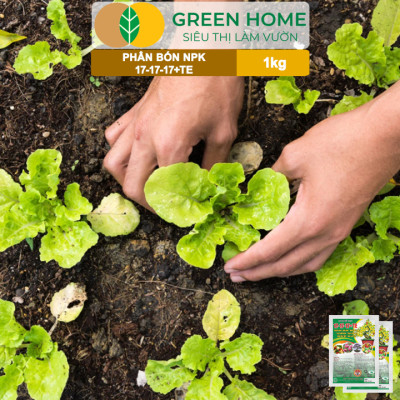 Phân Bón NPK 17-17-17, Greenhome, Gói 1kg, Bung Chồi Đọt, Thúc Nút Kim, Tạo Mầm Dưỡng Hoa