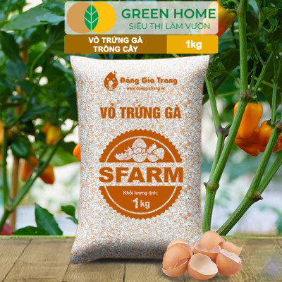 Vỏ Trứng Gà Trồng Cây Greenhome, Sfarm, Bao 1kg, Phân Bón Hữu Cơ, Ngăn Chặn Ốc Sên, Cải Tạo Đất, Chống Côn Trùng, Sâu Bọ