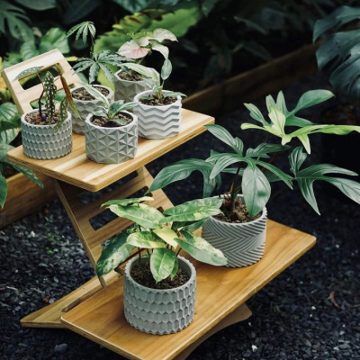 Chậu trồng sen đá , xương rồng, bonsai cây cảnh bằng xi măng Model Origami hình trụ tròn 11x8.5cm- Cement pots handmade Vintage / gift