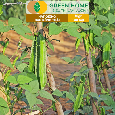 Hạt Giống Đậu Rồng Thái, Greenhome, Gói 10GR~30 hạt, Dễ Trồng Quanh Năm, Nảy Mầm Cao, T35