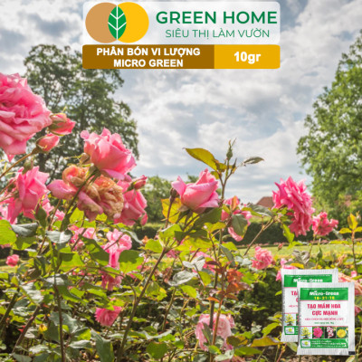 Phân Bón Ra Hoa, Greenhome, Micro Green, Gói 10gr, Tạo Mầm Hoa Cực Mạnh, Thúc Đẩy Ra Hoa Đồng Loạt, Hoa To, Lâu Tàn