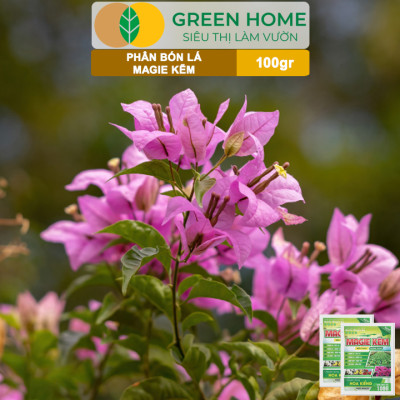 Phân Bón Lá Magie Kẽm, GreenHome, Gói 100GR, Chuyên Dùng Cho Hoa Kiểng