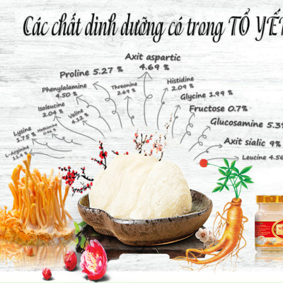 Thùng 72 lọ Yến sào wins