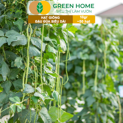 Hạt Giống Đậu Đũa Siêu Dài, Greenhome, Gói 10GR~50 hạt, Dễ Trồng Quanh Năm, Nảy Mầm Cao, T39
