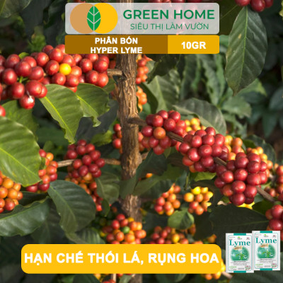 Phân Bón Hyper Lyme GreenHome, Gói 10Gr, Chống Rụng Cấp Tốc, Sốc Nhiệt, Sốc Nước, Giải Độc Cây Trồng