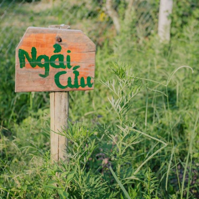 COMBO DẦU GỘI VÀ TINH BƯỞI MẸ KEN