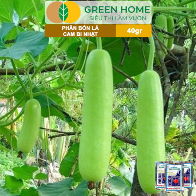 Phân Bón Lá Trung Vi Lượng CamBi Nhật, GreenHome,Gói 40Gr, Siêu Tăng Trưởng Cho Cây Trồng
