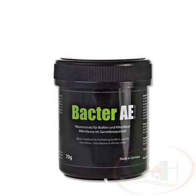 Thức ăn tép GlasGarten Bacter AE màng vi sinh biofilm tự nhiên bể cá tôm tép cảnh