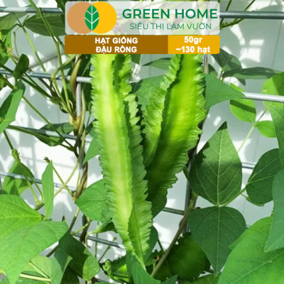 Hạt Giống Đậu Rồng Green Home, GÓI 50GR, Dễ Trồng Quanh Năm, Nảy Mầm Cao, Thu Hoạch Nhanh T46