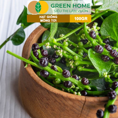 Hạt Giống Rau Mồng Tơi GreenHome, GÓI 100GR, Dễ Trồng Quanh Năm, Nảy Mầm Cao,Năng Suất Cao R30
