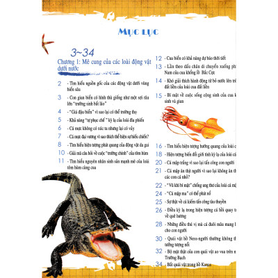 Khám Khá Những Bí Ẩn Về - Động Vật