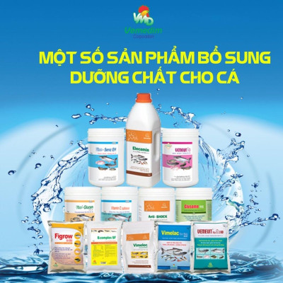 VEMEDIM Vime-Protex cá, xử lý nước, diệt khuẩn ao nuôi cá, chai 1lit Vime Protex - Lonton store