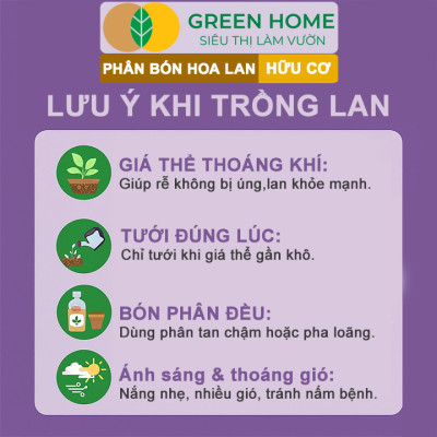 Phân Bón Lan Greenhome, 1 Tép, Túi Lưới, Tan Chậm, Không Mùi Hôi, Dưỡng Lan Ra Rễ, Xanh Tốt, Dùng Tốt Cho Sen Đá, Kiểng