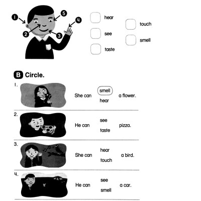 Everybody Up 2E 2: Workbook