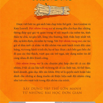 Đội Nhóm Trong Mơ