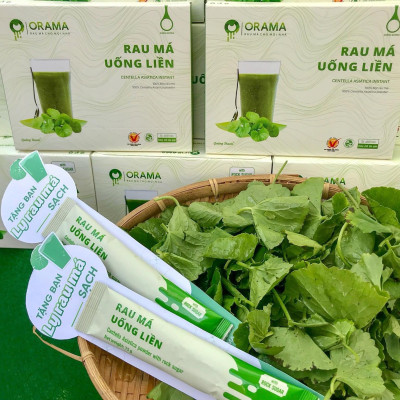 Bột Rau Má Uống Liền Quảng Thanh có đường 10 gói x 15g- rau má tươi nguyên chất, tăng cường dinh dưỡng