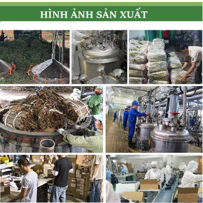 Tinh dầu Bưởi Da Xanh nguyên chất từ vỏ bưởi thiên nhiên, xông phòng, khử mùi, thơm phòng, đuổi muỗi - KingOil