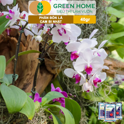 Phân Bón Lá Trung Vi Lượng CamBi Nhật, GreenHome,Gói 40Gr, Siêu Tăng Trưởng Cho Cây Trồng