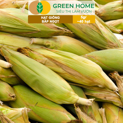 Hạt Giống Bắp Ngọt, Greenhome, Gói 5GR~40 hạt, Dễ Trồng Quanh Năm, Nảy Mầm Cao, T29