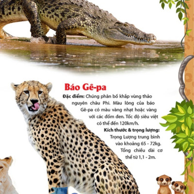 Khám Phá Thế Giới Động Vật 5 Châu - Châu Phi