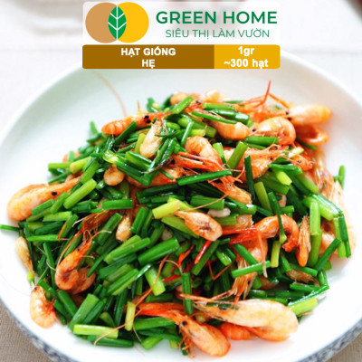 Hạt Giống Hẹ Cao Sản GreenHome, Gói 1g~300 hạt, Dễ Trồng, Nảy Mầm Cao, Thu Hoạch, Năng Suất Cao G04