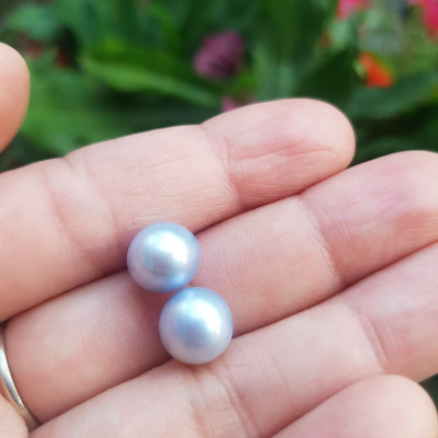 Đôi Bông Tai Ngọc Trai xanh dương nhẹ bóng đẹp 9mm  Size hạt 9mm ngọc trai cao cấp thiên nhiên mệnh Thủy Mộc   Nữ về bọc Vàng làm đôi bông tai vàng đeo cực kỳ xinh luôn ạ