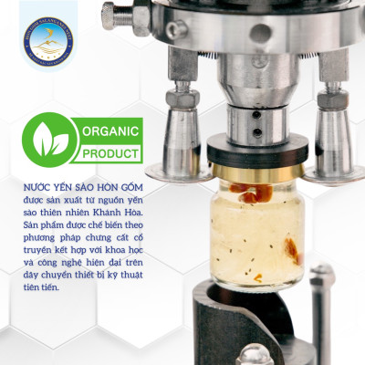 [Hộp QT 6 Hũ] Tổ Yến Sào Chưng Nhân Sâm - Yến Sào Hòn Gốm Chính Hiệu Khánh Hoà - HGKNEST