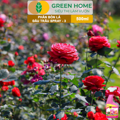 Phân Bón Lá Đầu Trâu Spray-3 Greenhome, Bình Điền, Chai 500ml, Dưỡng Hoa Lâu Tàn, Chuyên Lan Và Hoa