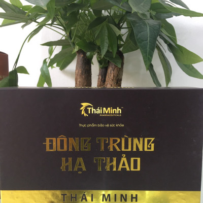 Đông trùng hạ thảo Thái Minh- Bồi bổ cơ thể, tăng cường sức khỏe