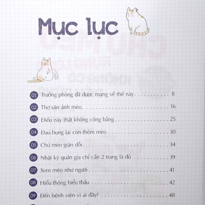 Chú Mèo Rụng Lông Không Có Điểm Dừng