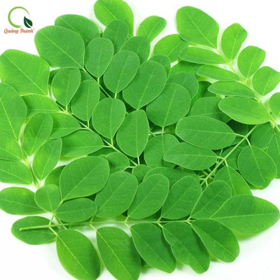 Bột Chùm Ngây Sấy Lạnh Nguyên Chất Gói 100gr  - Bột dinh dưỡng ăn dặm cho bé, tăng cường sức khỏe