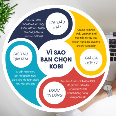 Combo 3 Tinh Dầu Xông Phòng Kobi: Tinh Dầu Khuynh Diệp (30ml) + Tinh Dầu Sả Chanh (30ml) + Tinh Dầu Hương Thảo (30ml) - Tinh Dầu Thiên Nhiên Nguyên Chất, Tốt Cho Bé Sơ Sinh, Giúp Giữ Ấm Cơ Thể, Phòng Ngừa Bệnh Hô Hấp Hiệu Quả