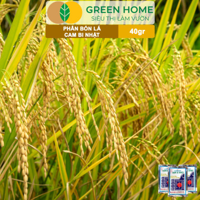Phân Bón Lá Trung Vi Lượng CamBi Nhật, GreenHome,Gói 40Gr, Siêu Tăng Trưởng Cho Cây Trồng
