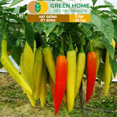 Hạt Giống Ớt Sừng Greenhome, Gói 0,2g~25 hạt, Dễ Trồng Quanh Năm,Thu Hoạch Nhanh, Năng Suất Cao G15