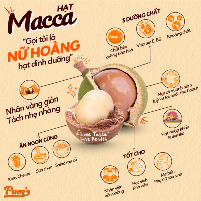 Hạt Macca Nữ Hoàng Size 30-32 Pams 250g/hộp - Mắc ca Úc Giòn Béo, Thơm Ngon, không cần dùng khui hạt