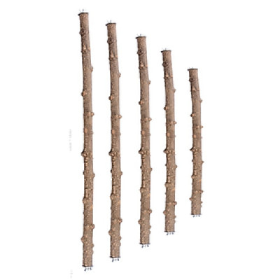 1 CÂY ĐẬU GỖ GẠO SIÊU CỨNG CÁP (CÓ GẮN 2 BÊN PASS) DÙNG ĐỂ LẮP VÀO LỒNG CHIM CHO CHIM, VẸT ĐẬU